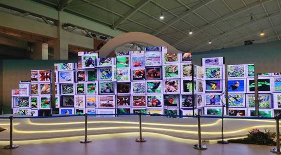 商店的玻璃窗上有贴商标低可信度描述已自动生成